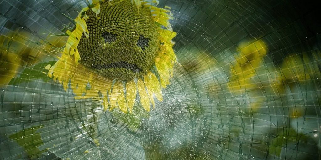 traurige Sonnenblume Stress