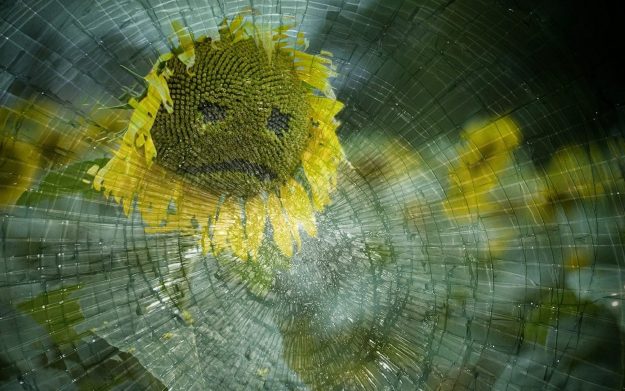 traurige Sonnenblume Stress